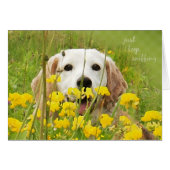 just keep sniffing beagle peeking in wildflowers (Front Horizontal)