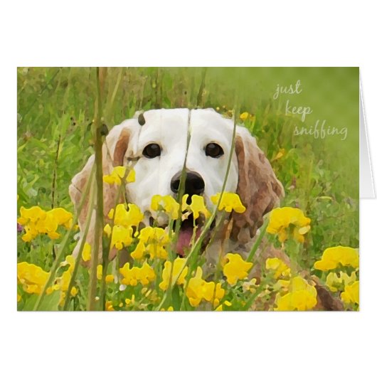just keep sniffing beagle peeking in wildflowers cards (Front Horizontal)