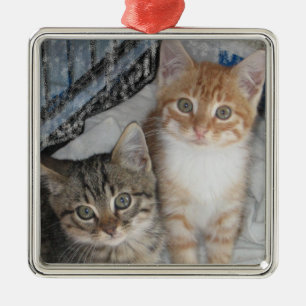 Just Kittens Metal Ornament