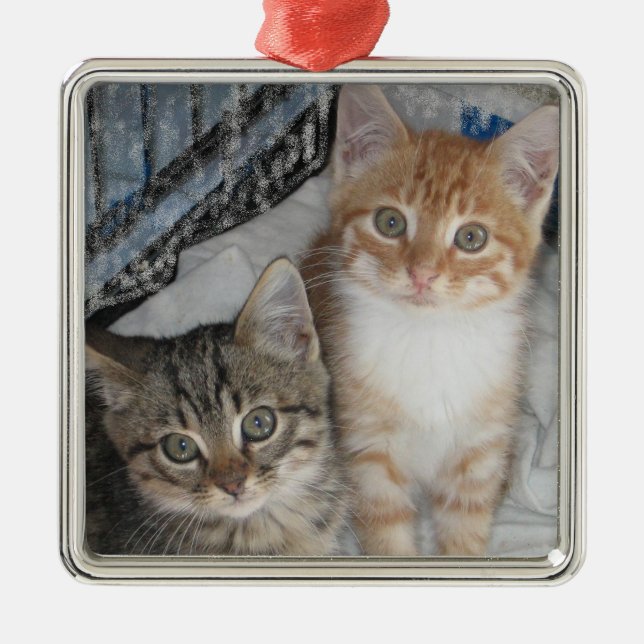 Just Kittens Metal Ornament (Front)