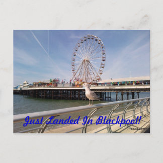 Just Landed Postcard