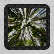 Just Look Up