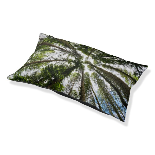 Just Look Up Pet Bed (Angled)