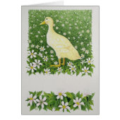 Just Looking (Front)