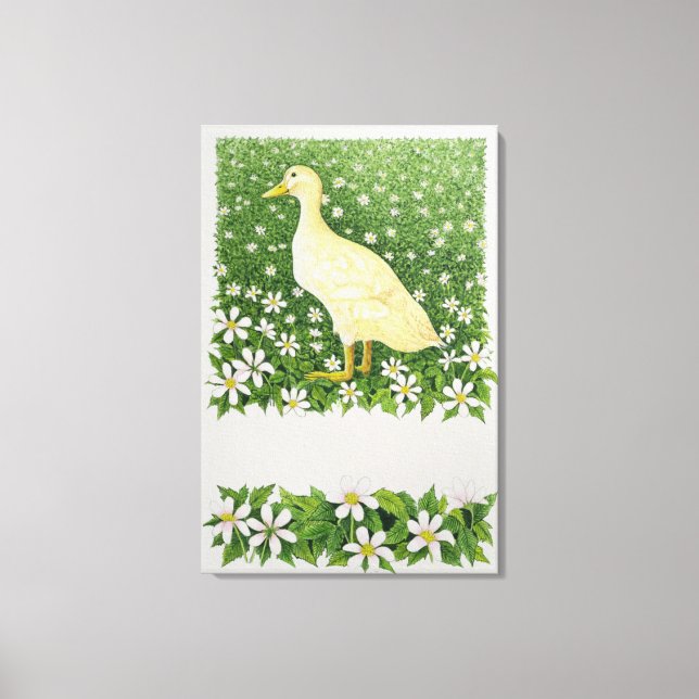 Just Looking Canvas Print (Front)
