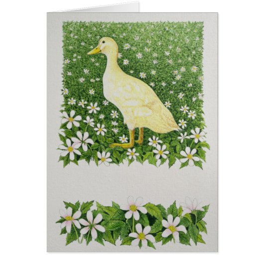 Just Looking Cards (Front)