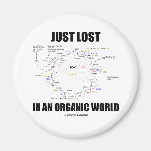 Just Lost In An Organic World (Krebs Cycle Humor) Magnet