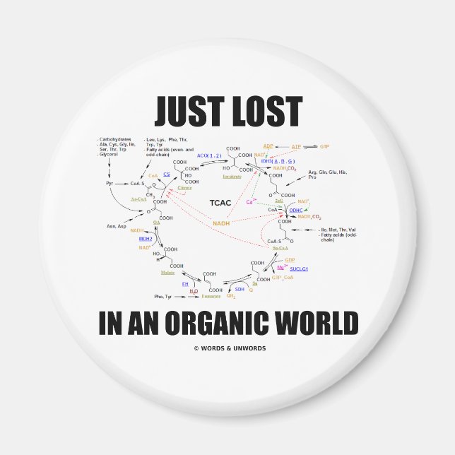 Just Lost In An Organic World (Krebs Cycle Humor) Magnet (Front)