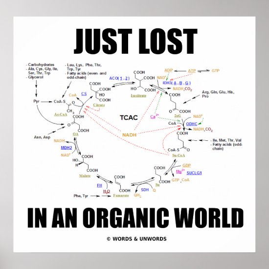 Just Lost In An Organic World (Krebs Cycle) Poster