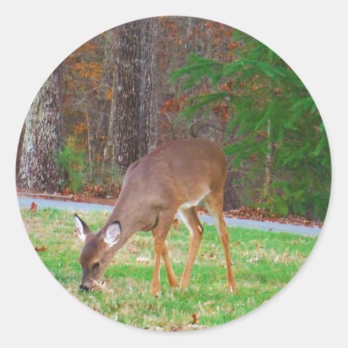 Just  Lost Spots Baby Deer Classic Round Sticker