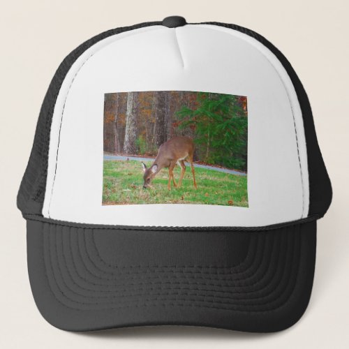 Just  Lost Spots Baby Deer Trucker Hat