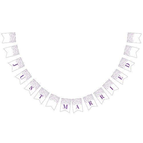 Just Married Banner Purple Silver Confetti