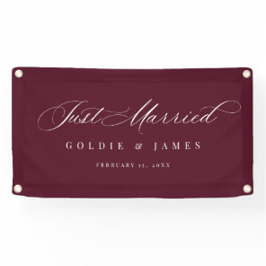 Just Married Car Banner Reception Decoration Sign