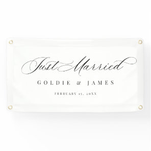 Just Married Car Banner Reception Decoration Sign