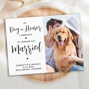 Just Married Dog of Honor Dog Wedding Announcement Postcard