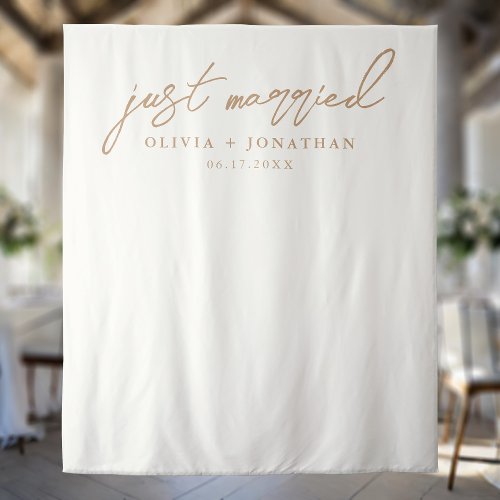Just Married Elegant Calligraphy Wedding Backdrop