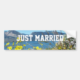 Just married flowers and lake, blue sky. bumper sticker