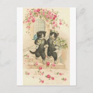Just Married Kitty Cats Postcard
