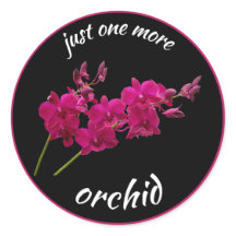 Just One More Orchid, Orchid Lover