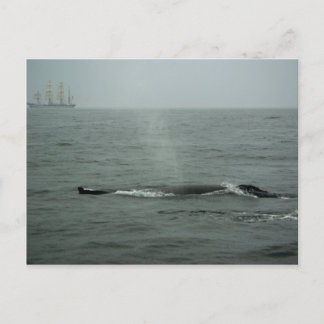 Just Passing By Postcard