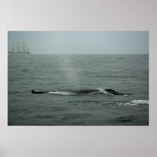 Just Passing By Print