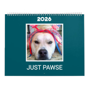 'Just Pawse – 2026' Pet Photo Minimalist Teal Calendar