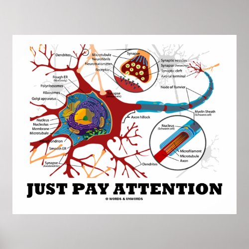 Just Pay Attention Advice Neuron  Synapse Poster