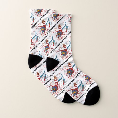 Just Pay Attention Neuron  Synapse Anatomy Humor Socks