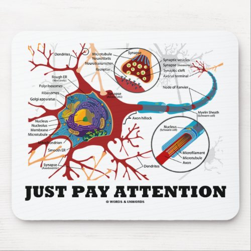 Just Pay Attention Neuron  Synapse Mouse Pad