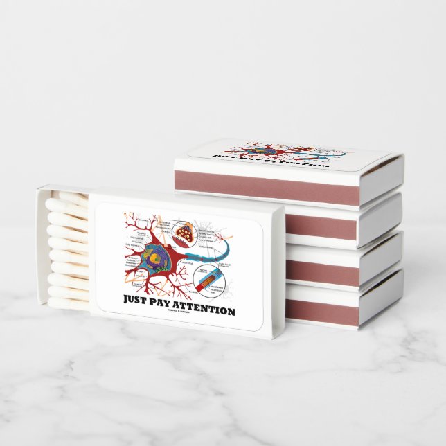 Just Pay Attention Neuron Synapse Neurotransmitter Matchboxes (Stacked)