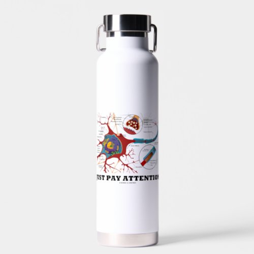 Just Pay Attention Neuron Synapse Neurotransmitter Water Bottle