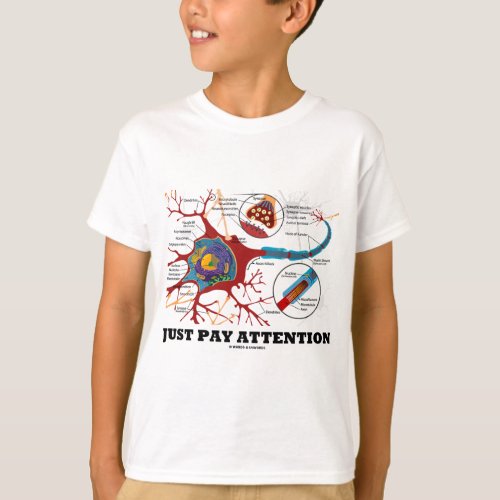 Just Pay Attention Neuron  Synapse T_Shirt