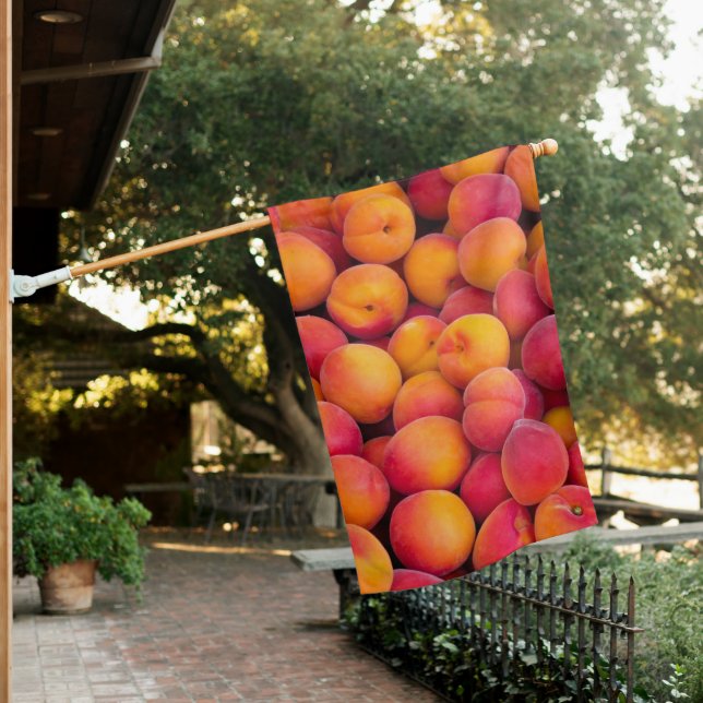 Just Peachy House Flag (In SItu)