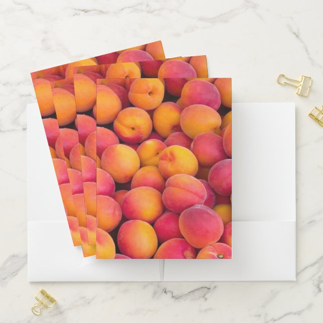 Just Peachy Pocket Folder (In Situ)