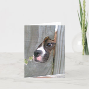 Just Peeking In Card