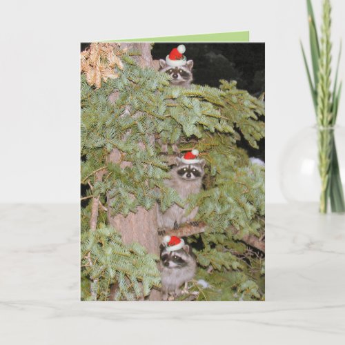 Just peeking in holiday card