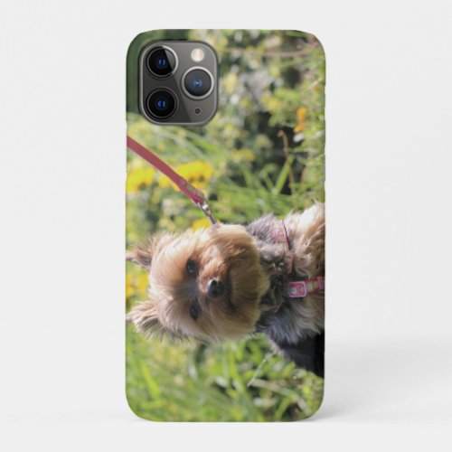 Just plain darling iPhone 11 pro case