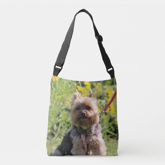 Just plain darling crossbody bag (Front)