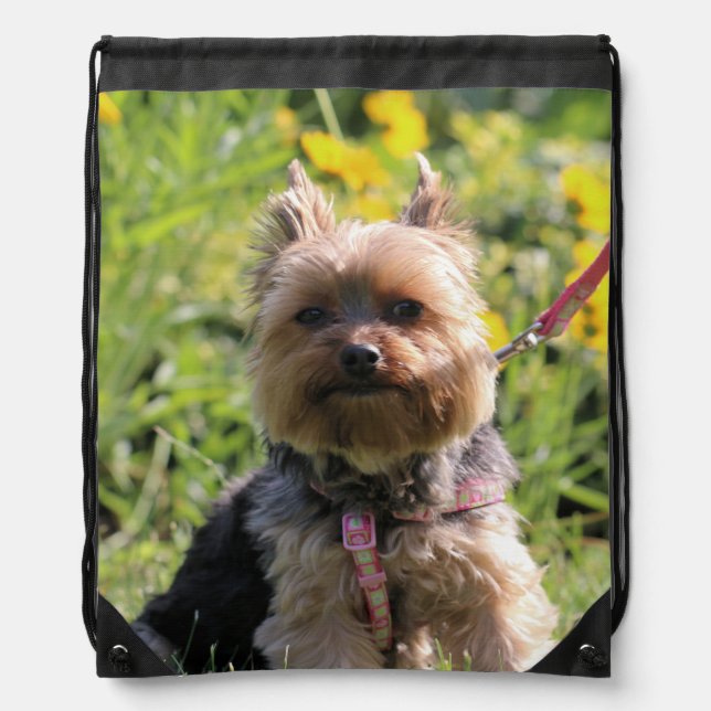 Just plain darling  drawstring bag (Front)