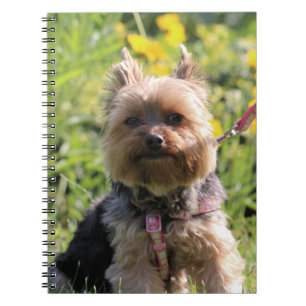 Just plain darling notebook