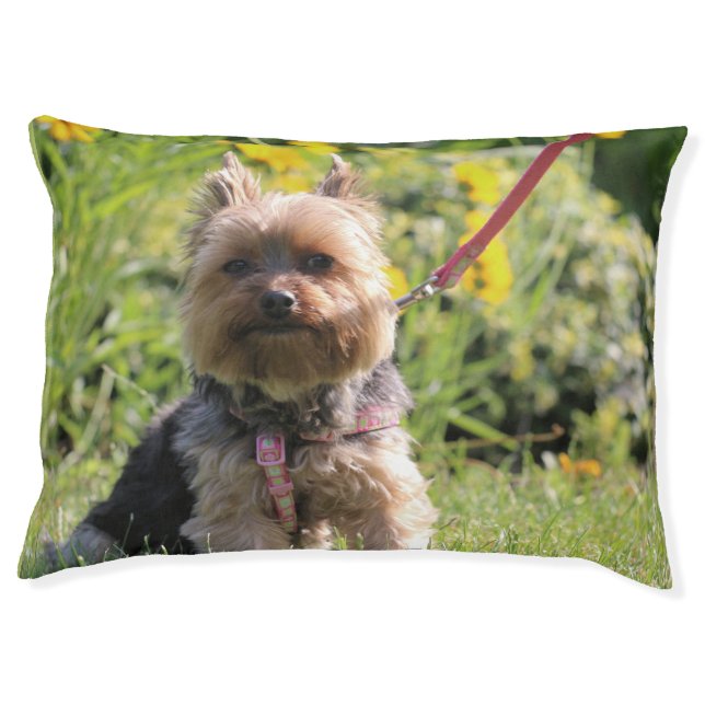 Just plain darling pet bed (Front)