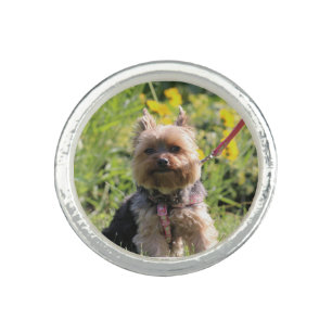 Just plain darling ring