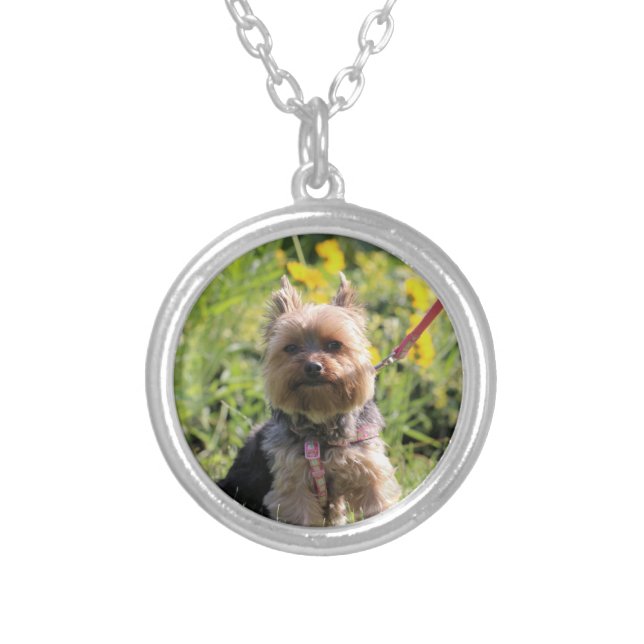 Just plain darling silver plated necklace (Front)