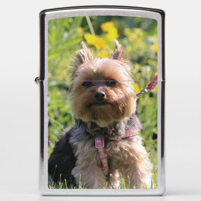 Just plain darling zippo lighter (Front)