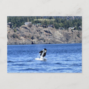 Just Popped Up To Say Hello! Postcard