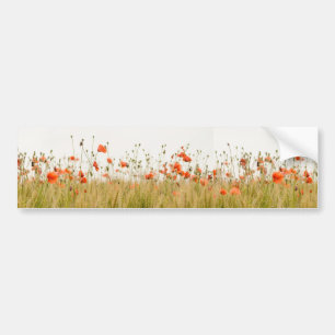 Just Poppies Pretty Floral Photo Bumper Sticker