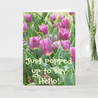 JUST POPPIN UP TO SAY HELLO! CARD