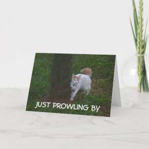 JUST PROWLING BY WITH BIRTHDAY HI FOR YOU CARD