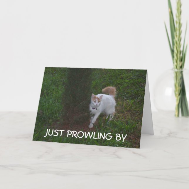 JUST PROWLING BY WITH BIRTHDAY HI FOR YOU CARD (Front)