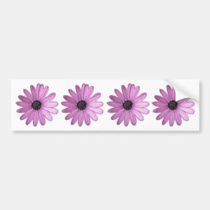 Just Purple Daisies Floral Photo Bumper Sticker